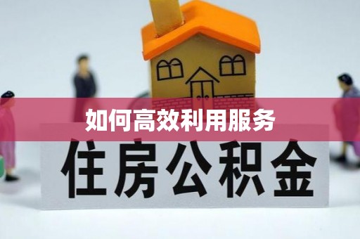 东平如何高效利用服务